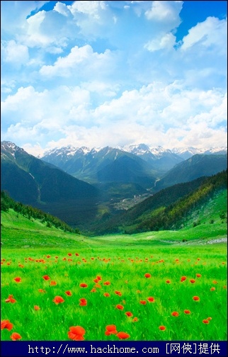 超美的蓝天红花绿草地手机壁纸 320*480