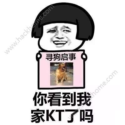 抖音你看到我男女朋友了吗寻人启事表情包大全下载图片5_嗨客手机站