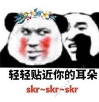 0   skr表情包最近莫名其妙又火起来了呀,从吴亦凡参加说唱节目开始