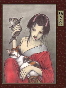 阴阳师猫又什么时候出 阴阳师猫又怎么获得