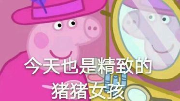 精致的猪猪女孩是什么梗？精致的猪猪女孩出处介绍[多图]图片1_网侠手机站