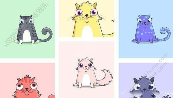 CryptoKittiesôԤԼڲʸԤԼַͼƬ2_˿ֻվ