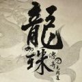 龙珠传奇小说