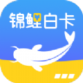 锦鲤白卡app