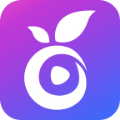 青橙直播app