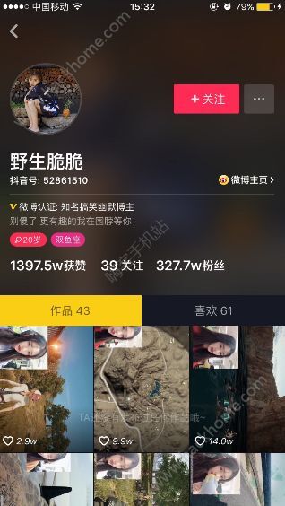 15062807.png