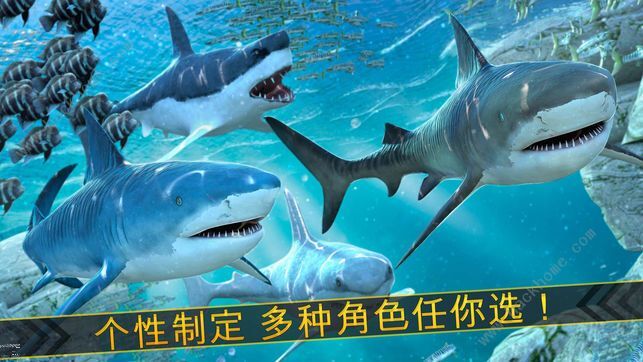 怒海求生人物介绍图片