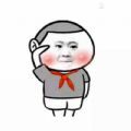 朋友圈升旗敬禮九宮格表情包app